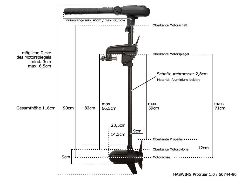 Haswing Protruar 1.0 / 600W 12V / Brushless