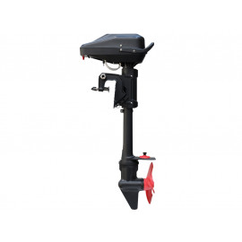 Haswing Armada F 8.0 / Remote Throttle / 4500W / 48V Brushless - Steering Wheel Control