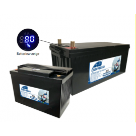 LiFe PO4 Battery 24V 100Ah